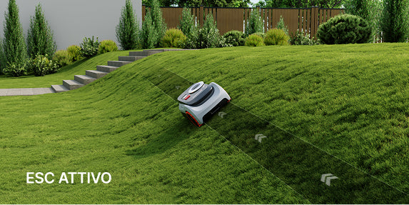 How often to mow the lawn – tips for healthy growth