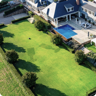 Sii creativo con Disegno