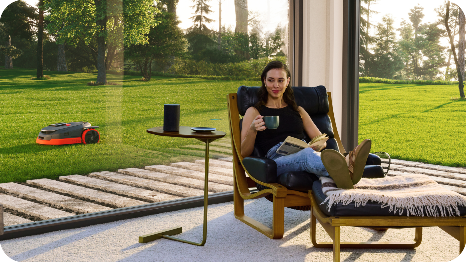 Falcia con Alexa e Google Home